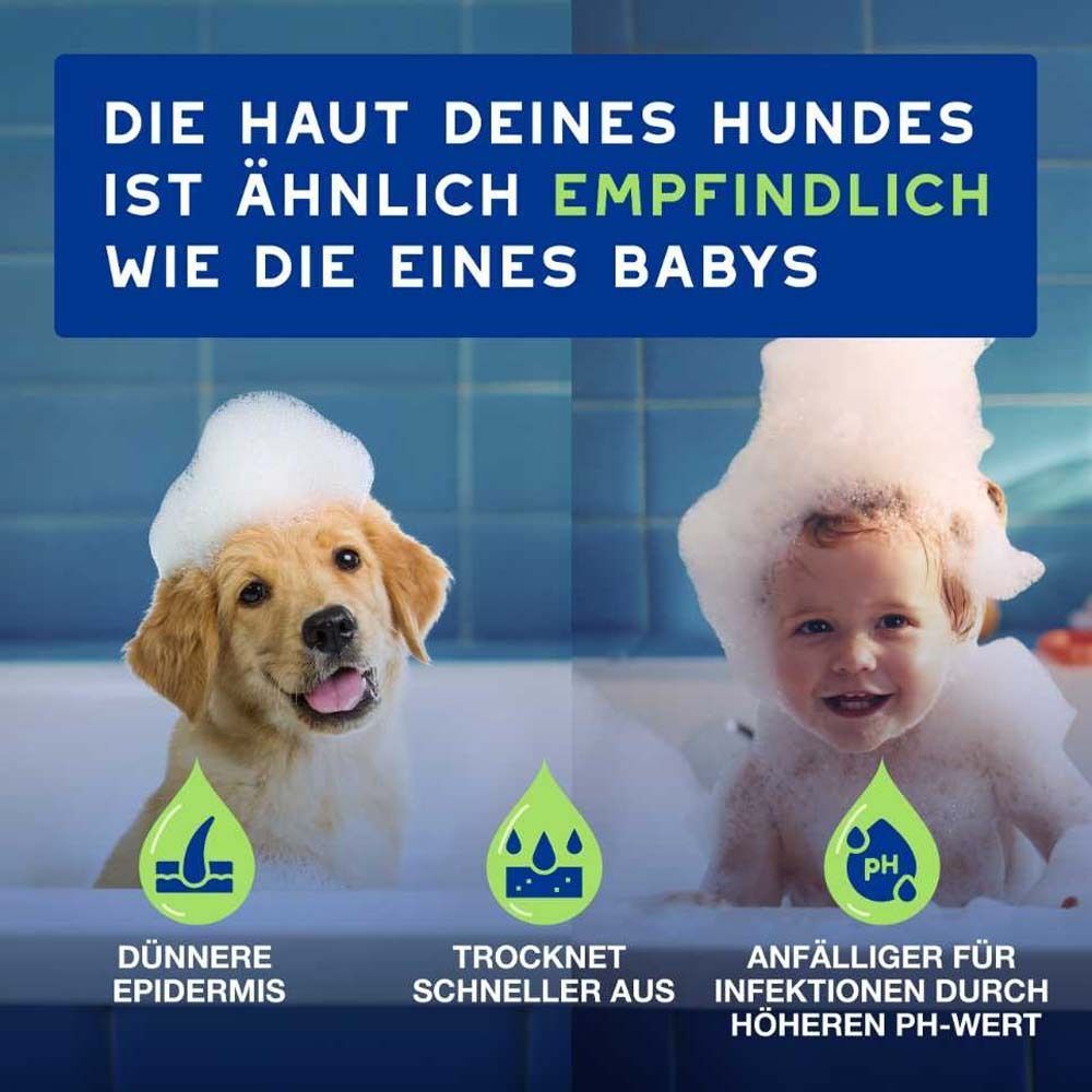 Ein Hund und ein Baby mit Schaum auf dem Kopf. Text: Die Haut deines Hundes ist ähnlich empfindlich wie die eines Babys.