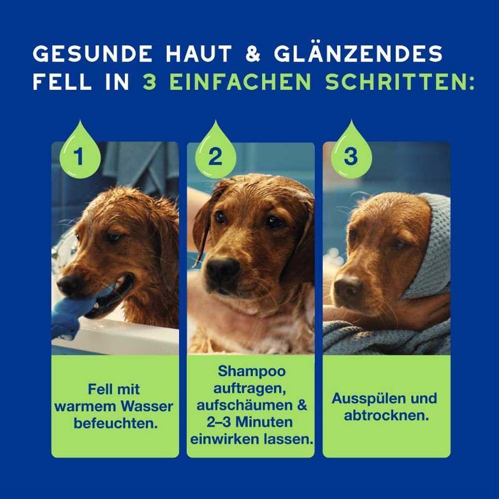 Drei Hunde in verschiedenen Phasen der Fellpflege. Text: Gesunde Haut & glänzendes Fell in 3 einfachen Schritten.