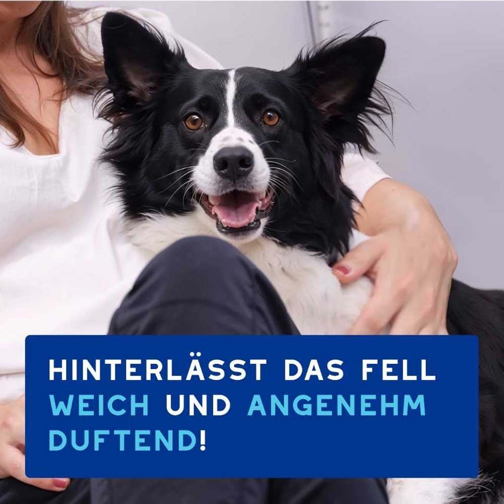 Ein Hund sitzt auf dem Schoß einer Person. Text: Hinterlässt das Fell weich und angenehm duftend!