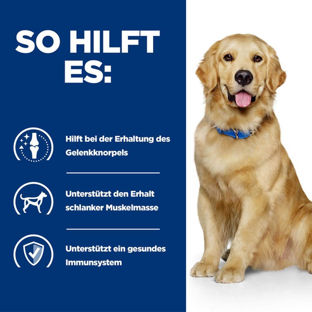 Hund mit blauem Halsband. Text: So hilft es: Erhaltung Gelenkknorpel, Erhalt Muskelmasse, gesundes Immunsystem.