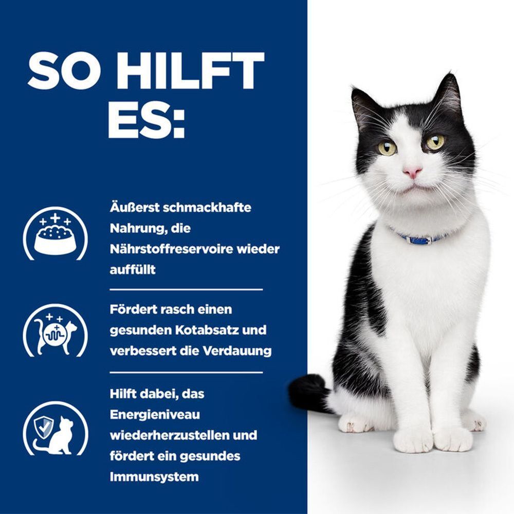 Katze neben Text und Symbolen. Text: So hilft es. Symbole für Nährstoffauffüllung, Kotabsatz, Energie.