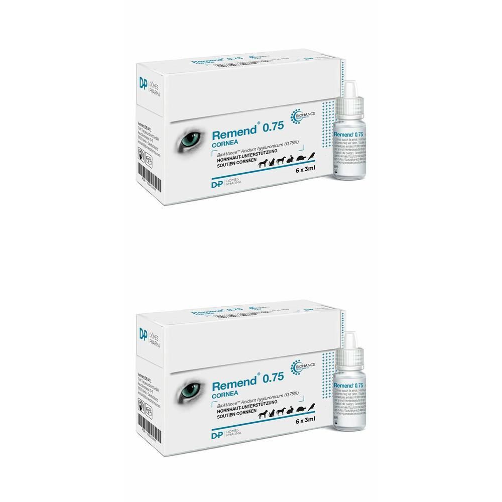 Zwei Packungen Remend 0.75 Cornea Augenpflege-Gel mit Fläschchen. Weiße Schachteln mit Produktnamen und Logo. Fläschchen mit blauer Beschriftung.