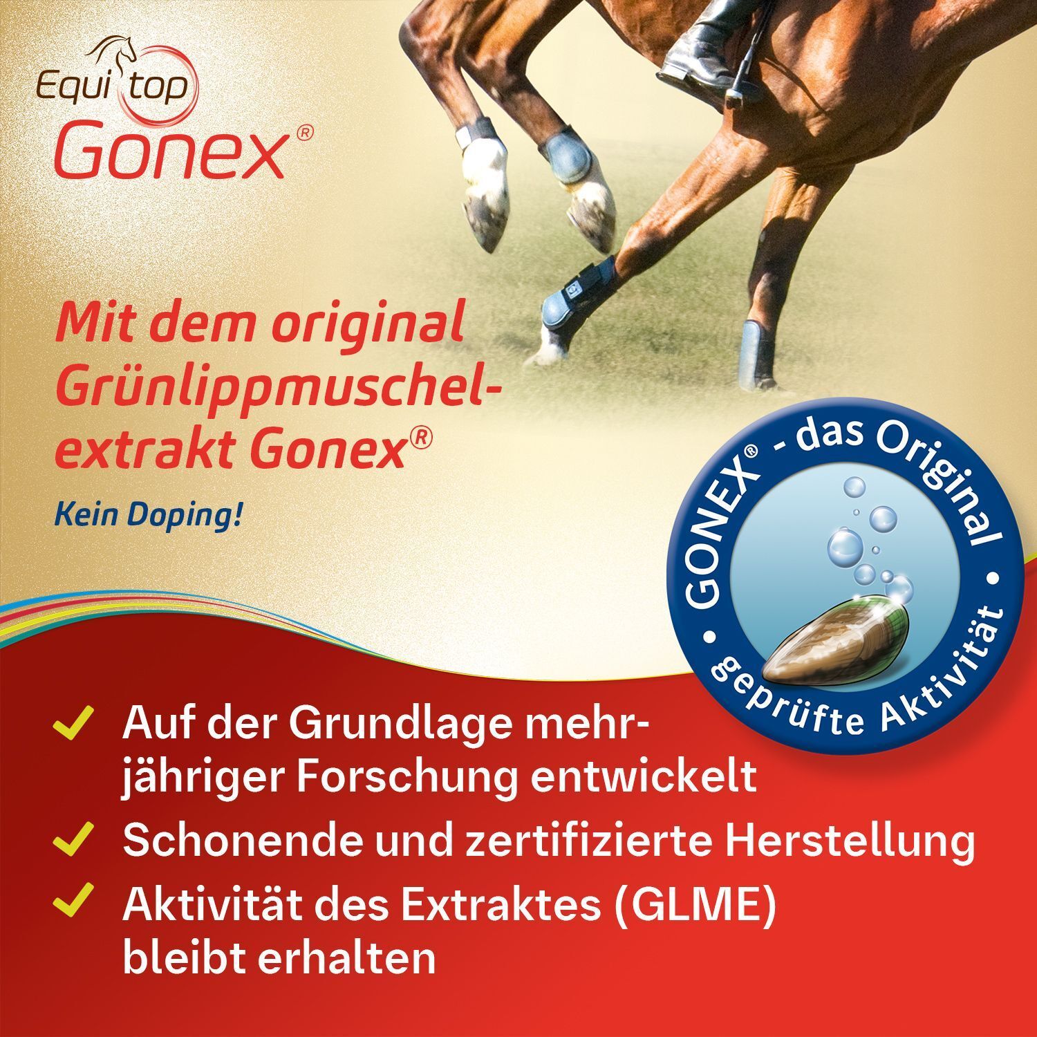 Pferd mit Bandagen an den Beinen. Text: Mit dem original Grünlippmuschelextrakt Gonex. Kein Doping! Geprüfte Aktivität.