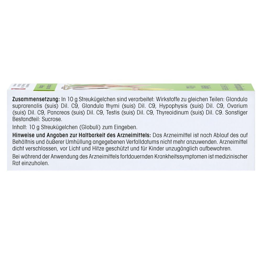 Rückseite einer Packung ReVet H 13 Globuli für Heimtiere mit detaillierten Anwendungshinweisen.