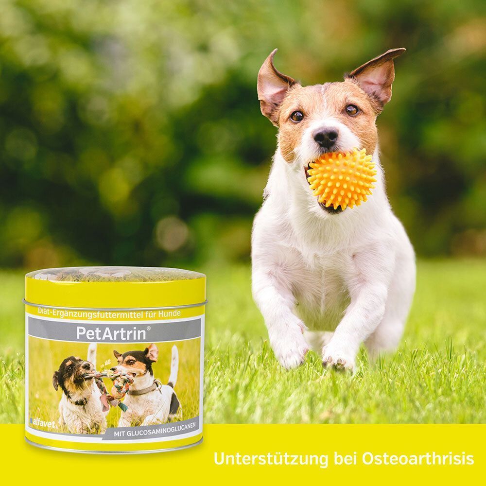 Hund mit Ball im Maul rennt auf einer Wiese. Daneben eine Dose PetArtin für Hunde.