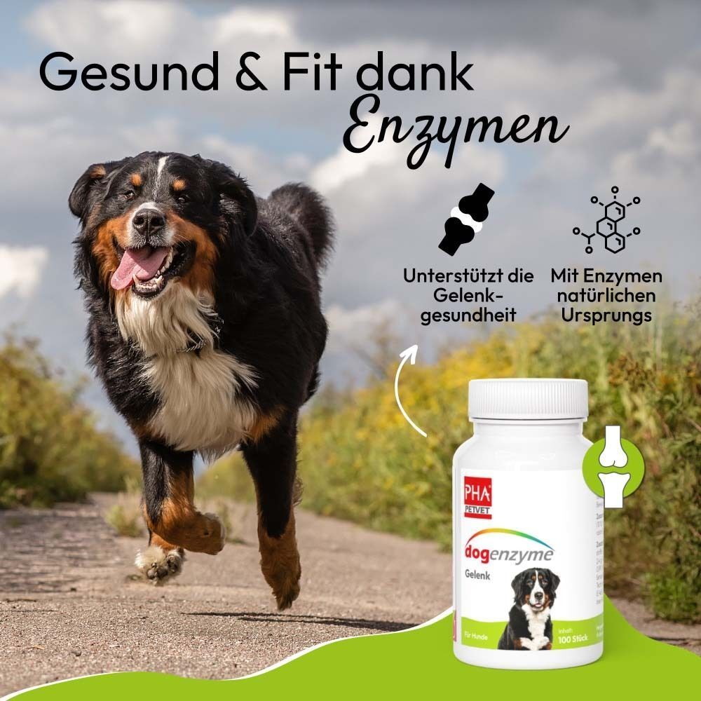 Hund läuft. Flasche mit Etikett: DOGENZYME Gelenk. Text: Gesund & Fit dank Enzymen. Gelenkgesundheit.