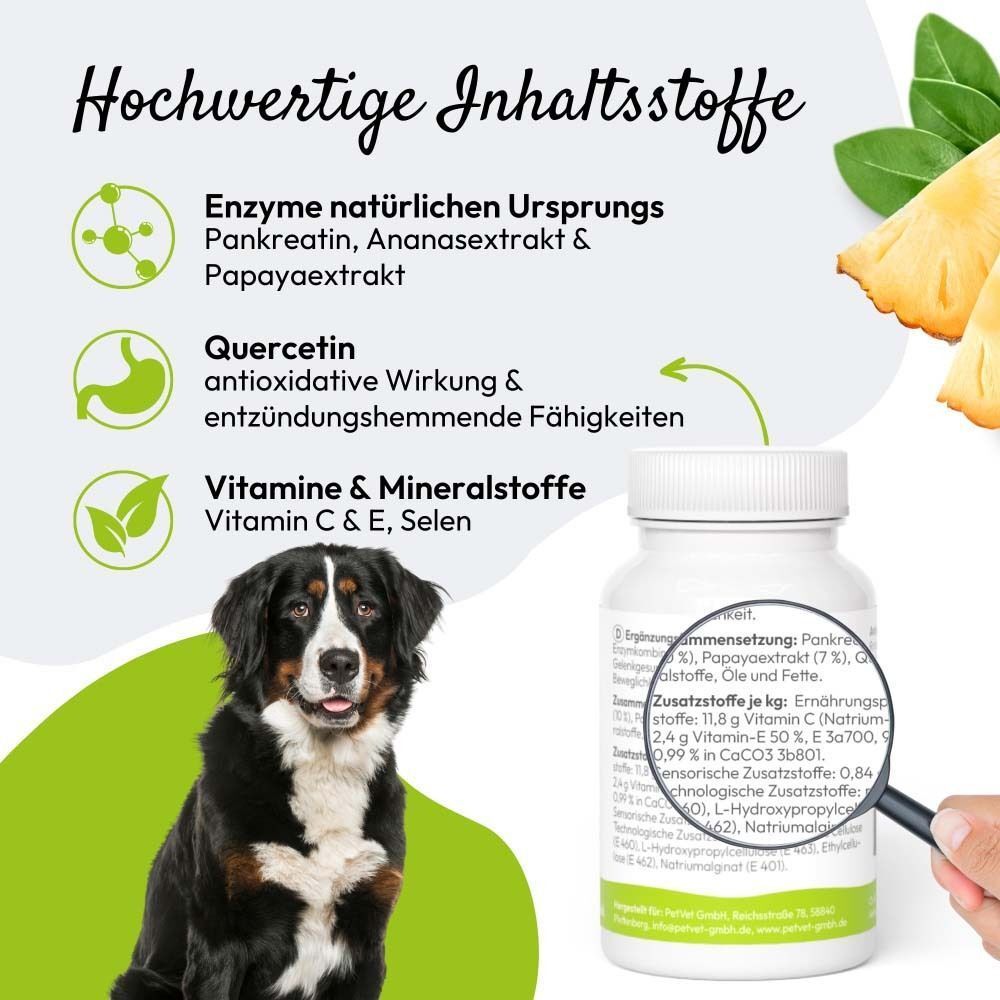 Hund und Flasche mit Etikett: DOGENZYME Gelenk. Text: Hochwertige Inhaltsstoffe. Enzyme, Vitamine & Mineralstoffe.