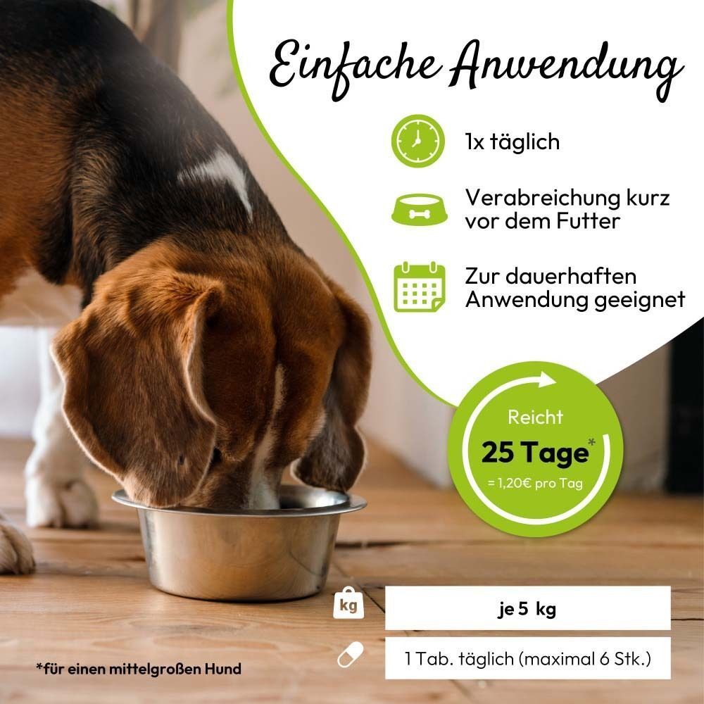 Hund isst aus Napf. Text: Einfache Anwendung. 1x täglich. 25 Tage. 1,20€ pro Tag. 1 Tab. pro 5 kg.