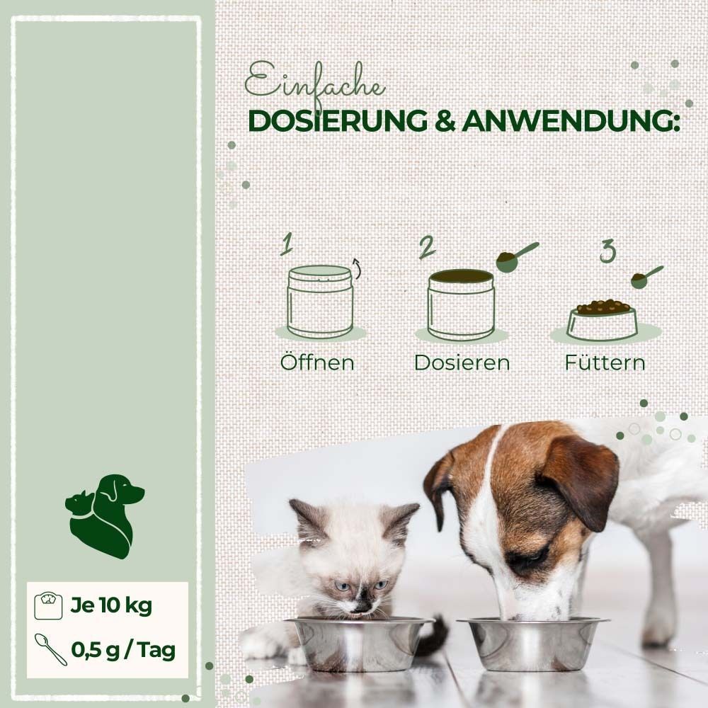 Illustration: Dosierung & Anwendung. 3 Schritte: Öffnen, Dosieren, Füttern. Hund und Katze fressen aus Napf.