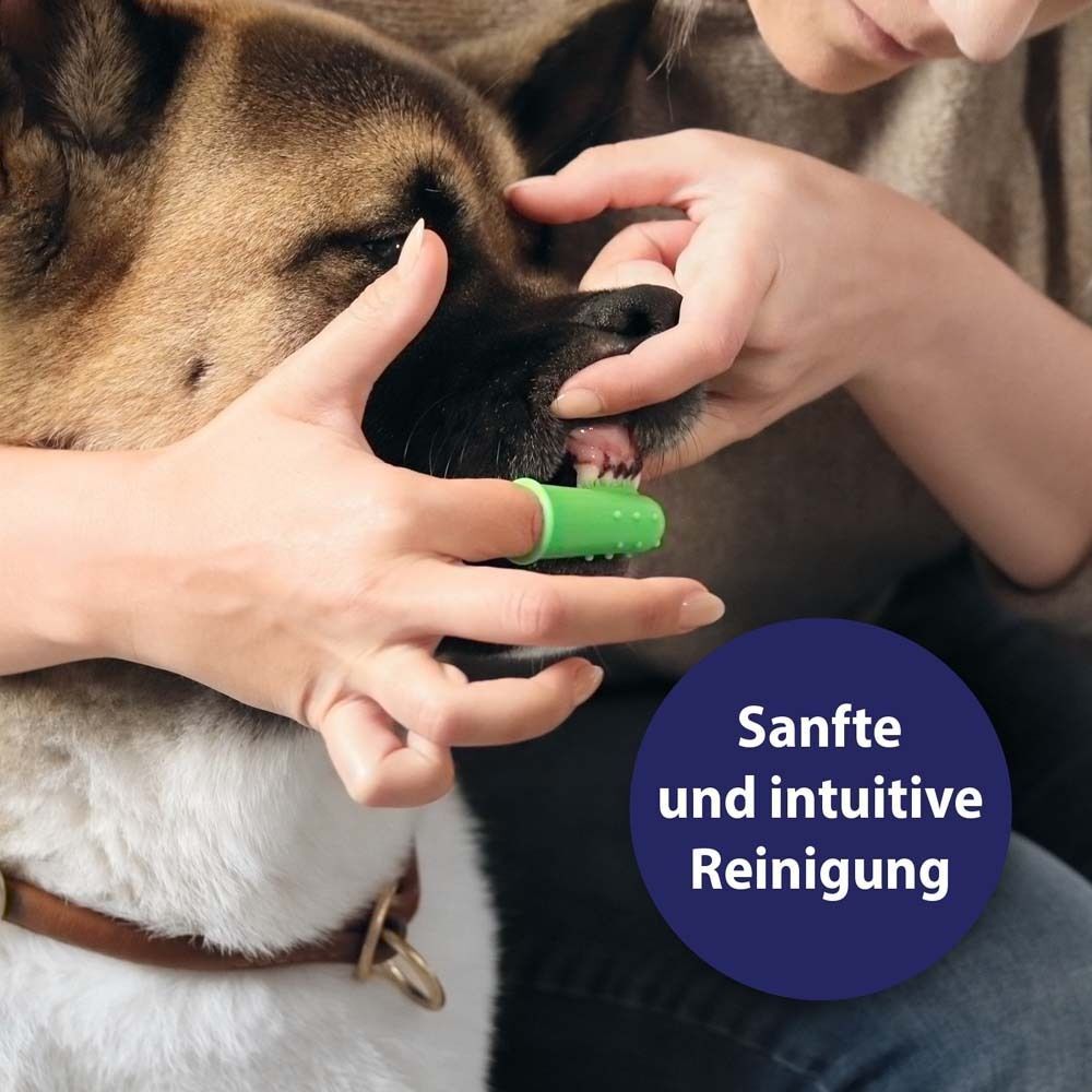 Hund bekommt Zahnpflege mit Fingerbürste. Grüne Bürste im Maul. Text: Sanfte und intuitive Reinigung.