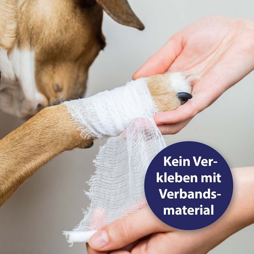Hund mit Verband an der Pfote. Hände legen Verband an. Blauer Kreis mit Text: Kein Verkleben mit Verbandsmaterial.