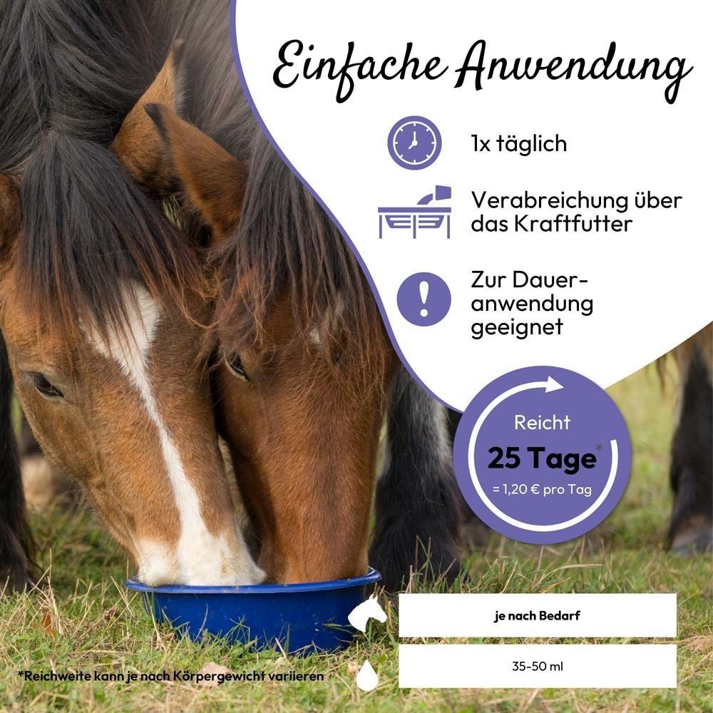 Pferde fressen aus einer blauen Schüssel. Text: Einfache Anwendung. Reichweite 25 Tage.