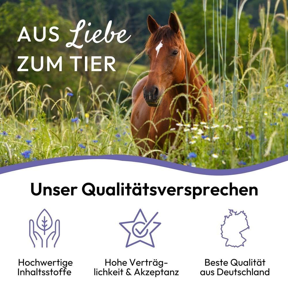 Pferd auf einer Wiese. Text: Aus Liebe zum Tier. Unser Qualitätsversprechen.