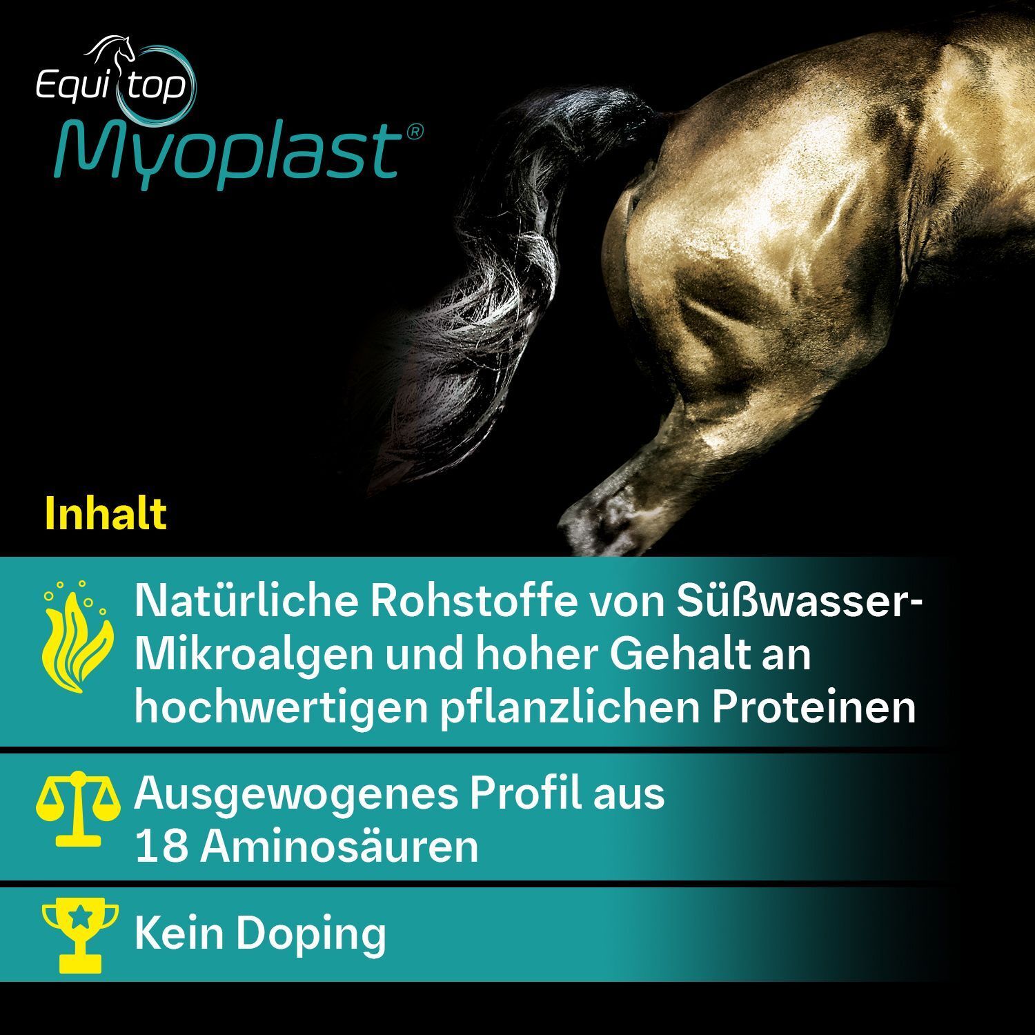 Pferd. Text: Inhalt: Natürliche Rohstoffe, Mikroalgen, 18 Aminosäuren, kein Doping.