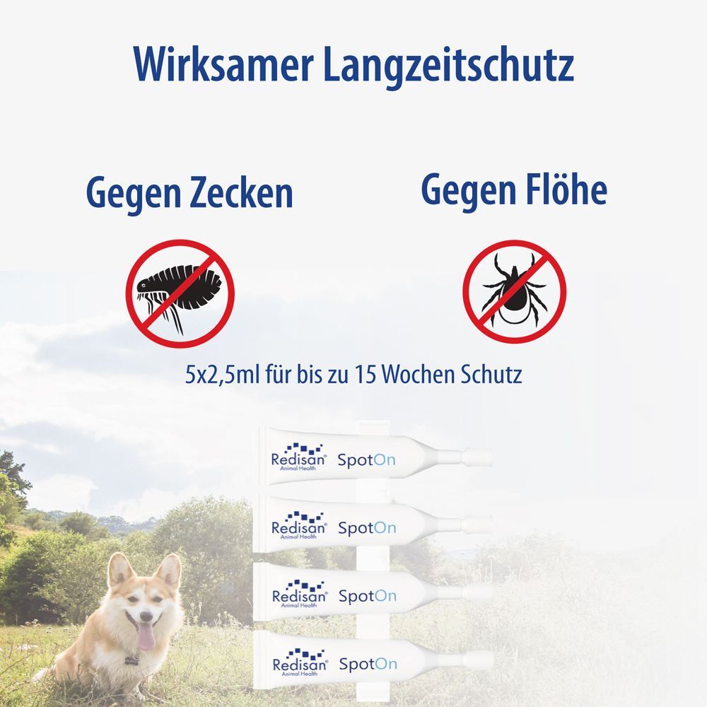 Spot On Ampullen und Illustrationen von Zecken und Flöhen. Text: Bis zu 15 Wochen Schutz.