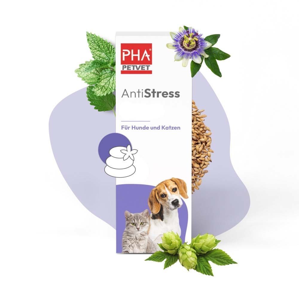 Verpackung von PHA AntiStress mit Kräutern und Blüten. Logo, Produktname, Abbildung von Hund und Katze, und Kräuter.