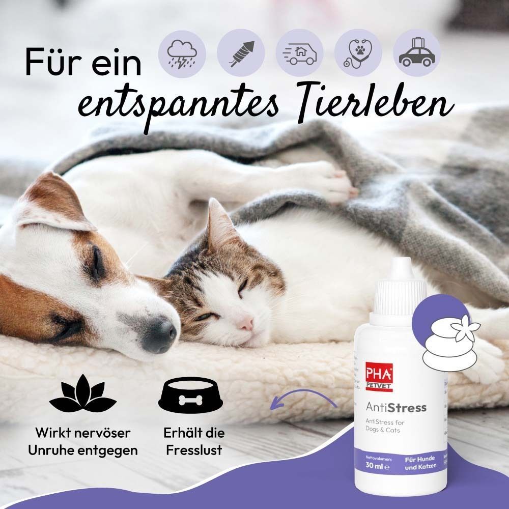 Hund und Katze schlafen friedlich neben einer Flasche PHA AntiStress. Produktname und Logo sind sichtbar.