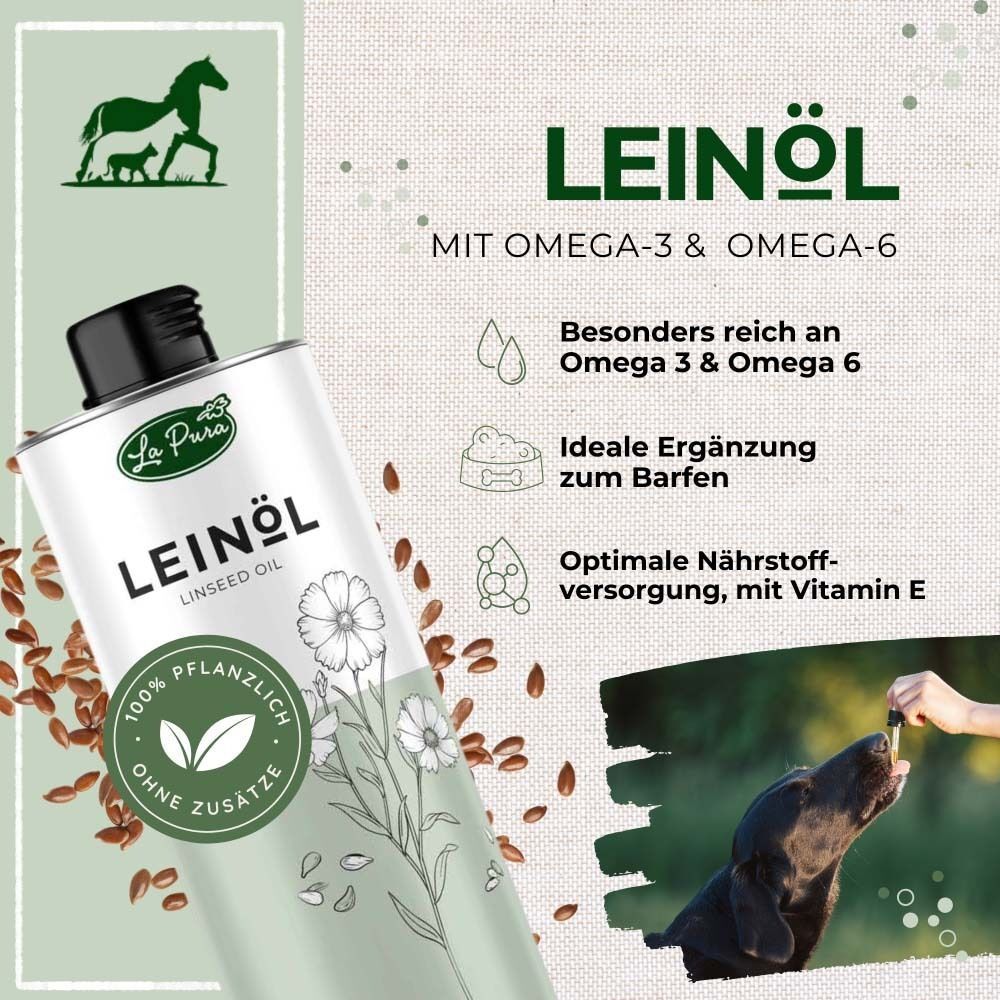 Metallflasche mit Leinöl-Logo und Text. Icons und Text über Omega-3 & 6, ideale Ergänzung, optimale Nährstoffversorgung.
