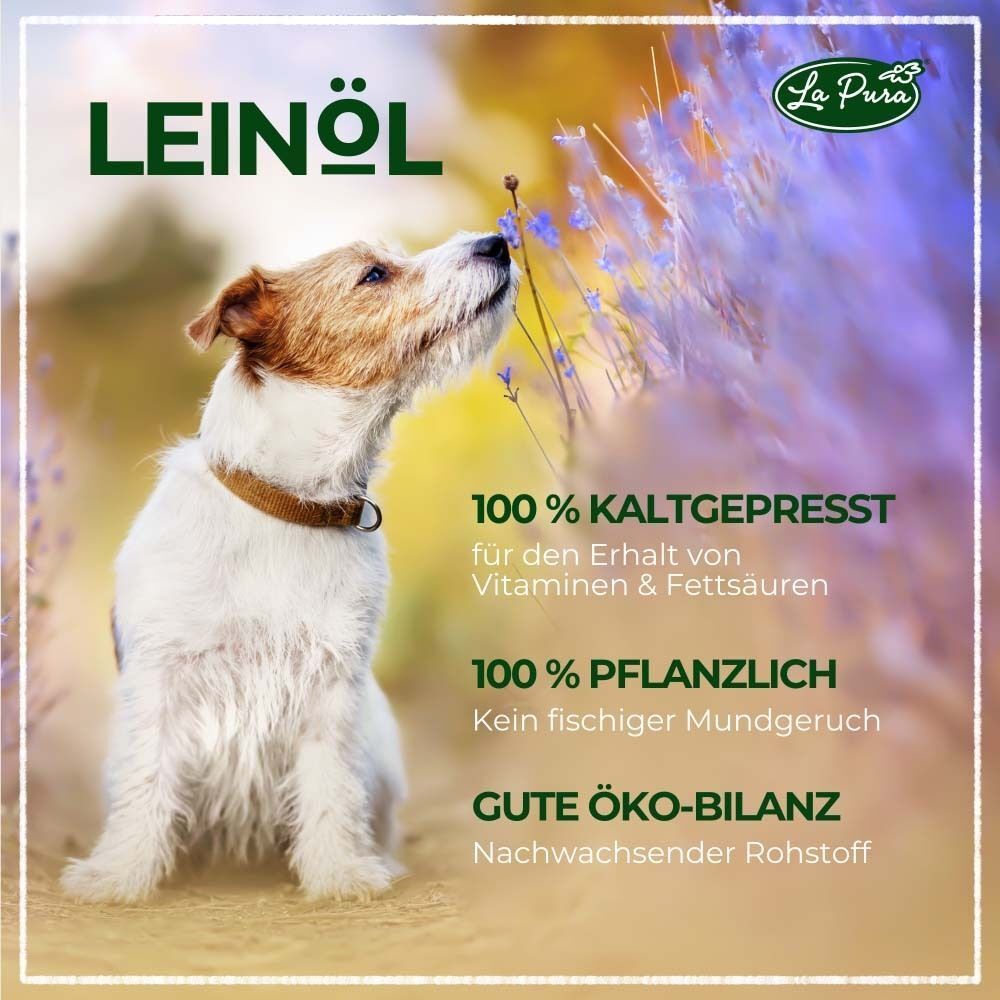Hund schnuppert an blauen Blüten. Text: 100% kaltgepresst, 100% pflanzlich, gute Öko-Bilanz. Leinöl-Logo.