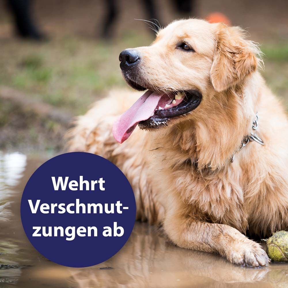 Goldener Retriever liegt in Pfütze. Auf blauem Kreis steht: Wehrt Verschmutzungen ab.