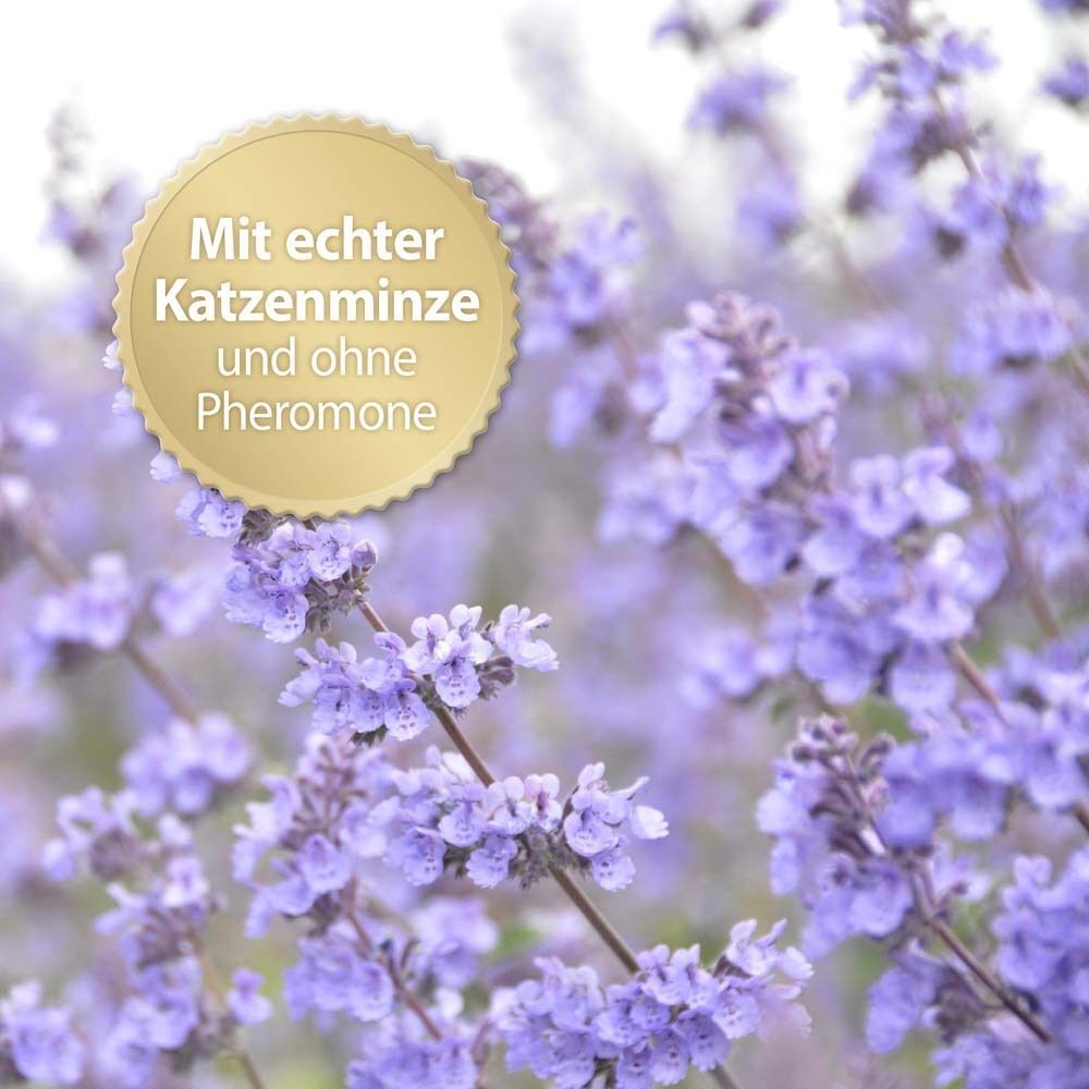 Nahaufnahme von lila Blüten. Goldene Medaille mit Text 'Mit echter Katzenminze und ohne Pheromone'.