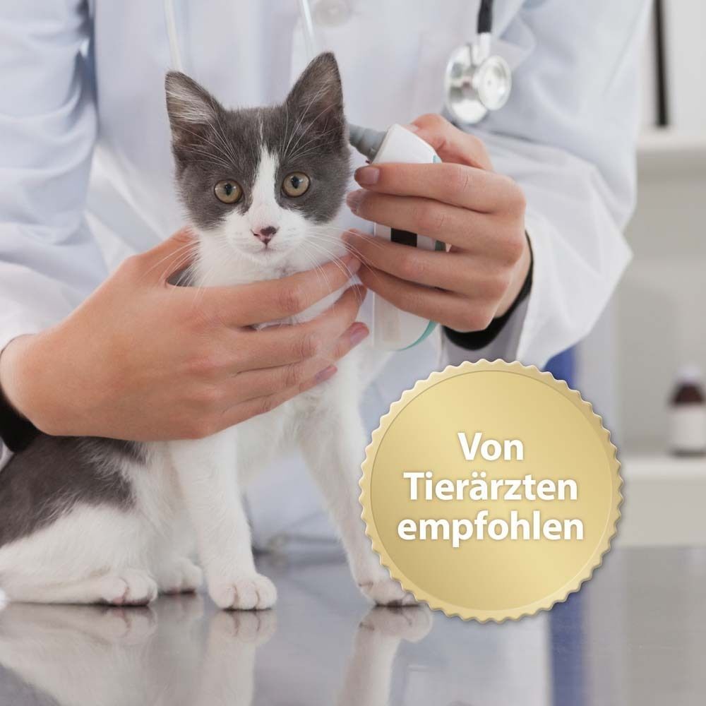Tierarzt untersucht Katze. Goldene Medaille mit Text 'Von Tierärzten empfohlen'. Diffusor im Hintergrund.