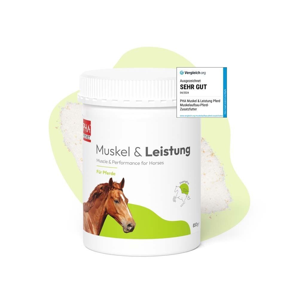 Weißer Behälter mit Deckel. Aufschrift: Muskel & Leistung. Bewertung 'SEHR GUT'.