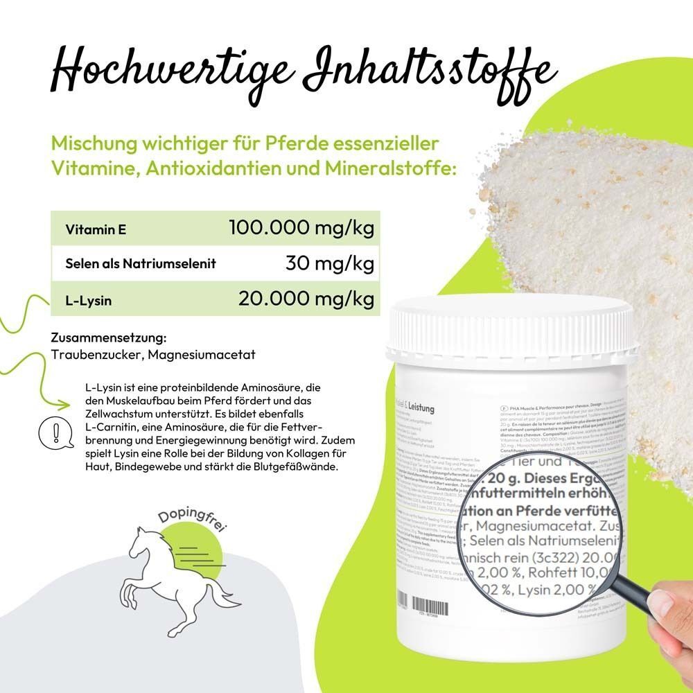 Text mit Inhaltsstoffangaben: Vitamin E, Selen, L-Lysin. Behälter mit Pulver. Lupe.