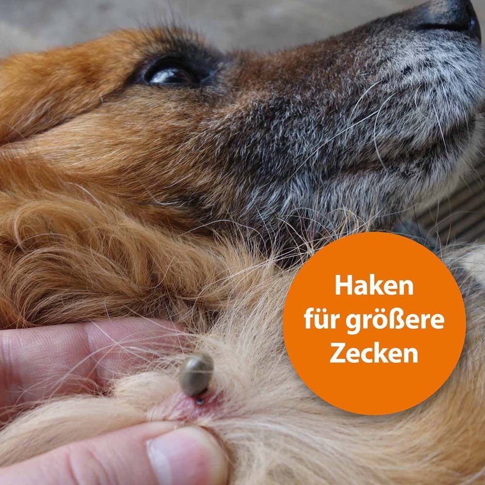 Hund mit Zecke. Ein Haken wird zur Entfernung der Zecke verwendet. Text: Haken für größere Zecken.