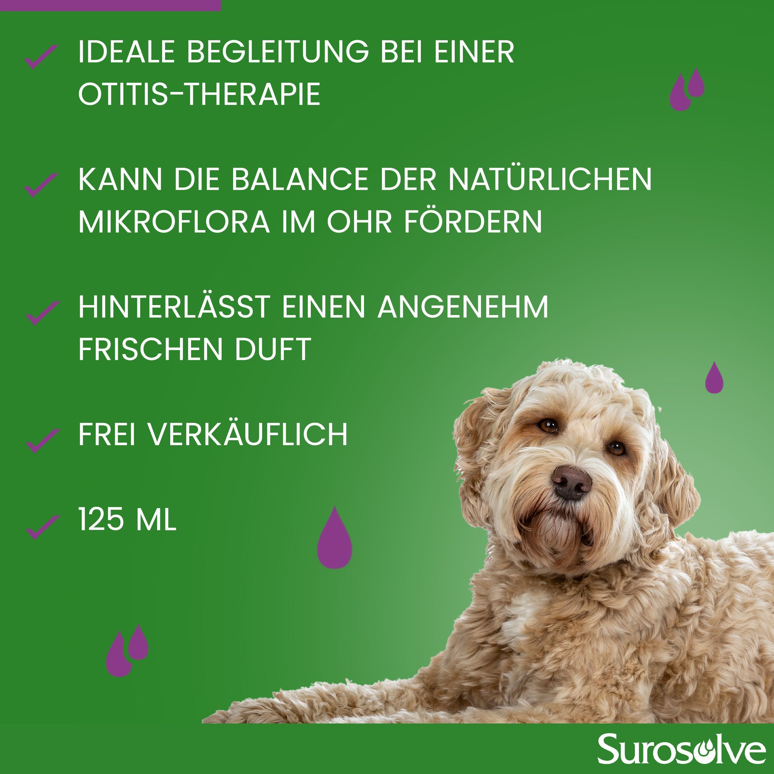 Grüner Hintergrund mit Hund. Text: Ideale Begleitung bei Otitis-Therapie, hinterlässt Duft. 125 ml. Surosolve Logo.