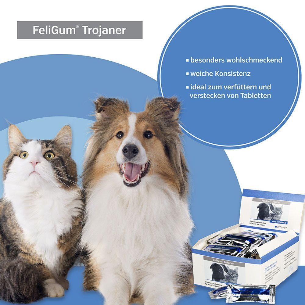 Ein Hund und eine Katze vor blauem Hintergrund. Daneben eine geöffnete Box mit Tabletten. Text: FeliGum Trojaner.