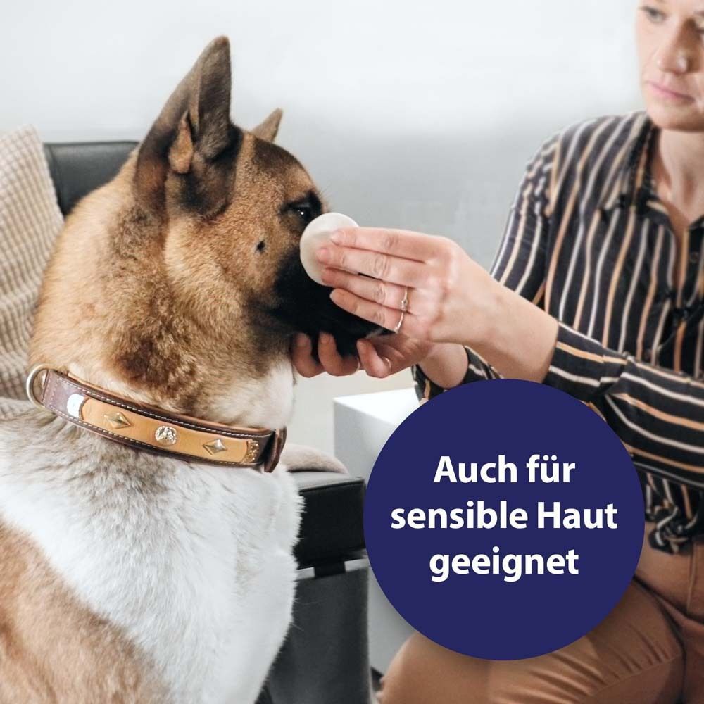 Hund mit Wattepad am Auge. Text: Auch für sensible Haut geeignet. Person berührt das Auge des Hundes mit einem Wattepad.
