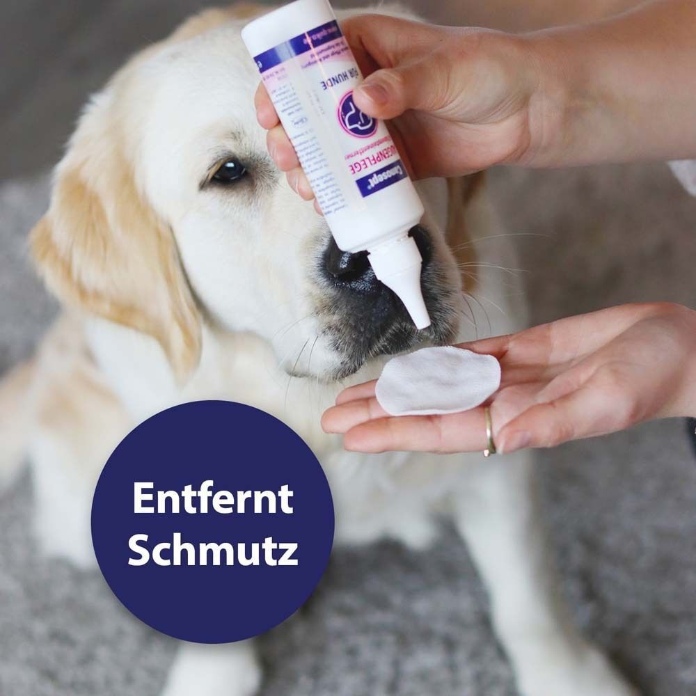 Hund mit Produkt am Auge. Text: Entfernt Schmutz. Person tropft Produkt auf Wattepad und berührt das Auge des Hundes.