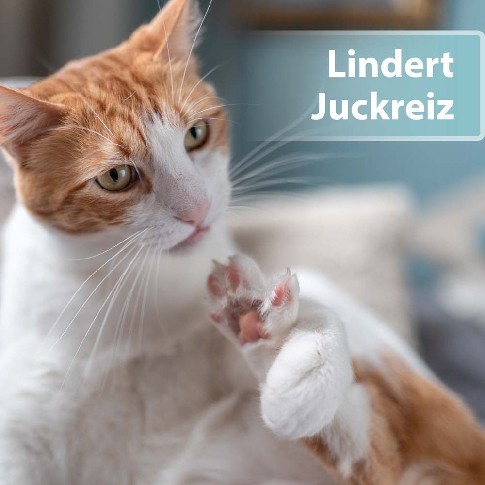 Katze kratzt sich. Textfeld: Lindert Juckreiz.