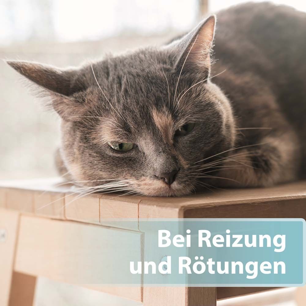 Katze liegt auf einer Holzbank. Textfeld: Bei Reizung und Rötungen.