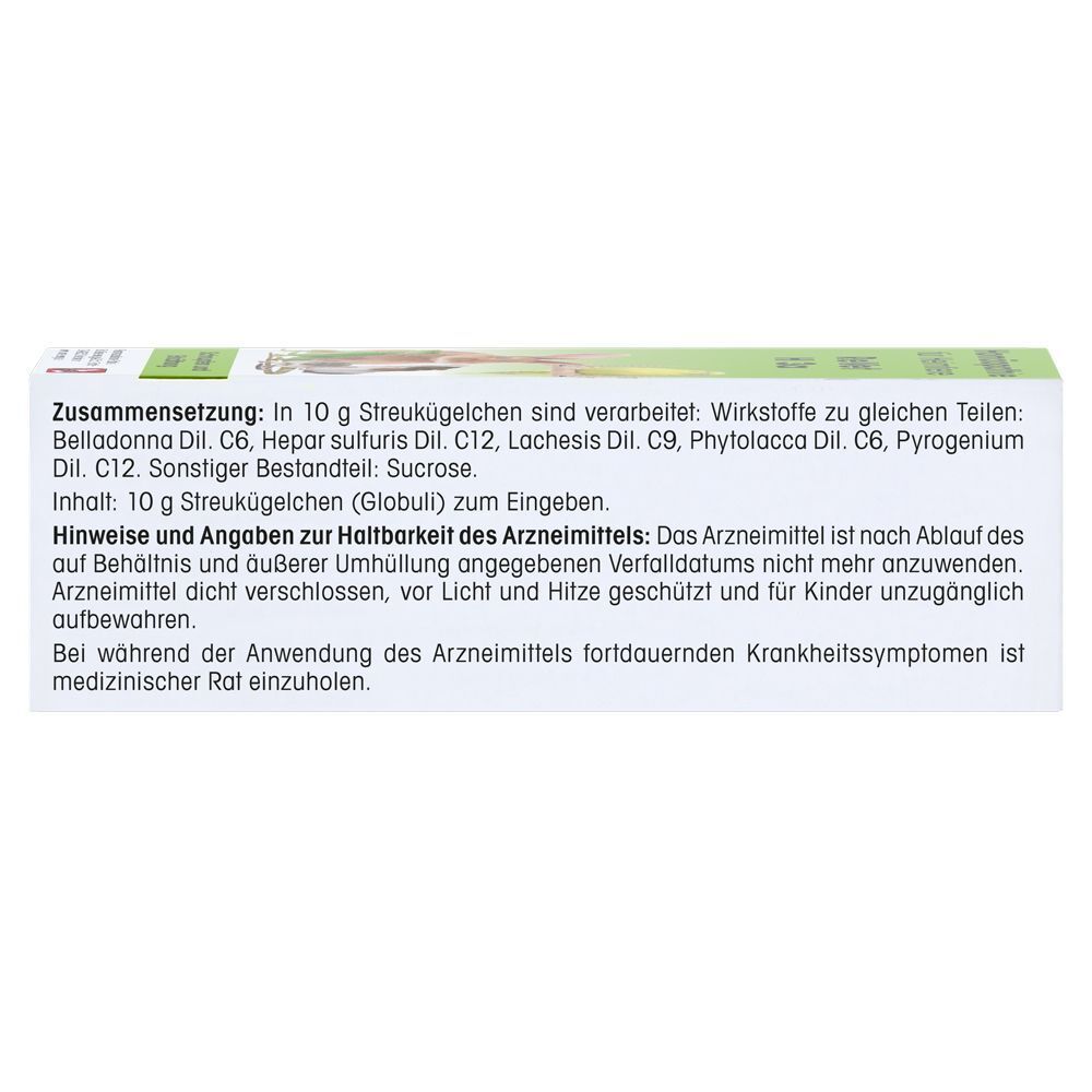 Rückseite einer ReVet H 11 Globuli Packung mit Anwendungshinweisen und Zusammensetzung.