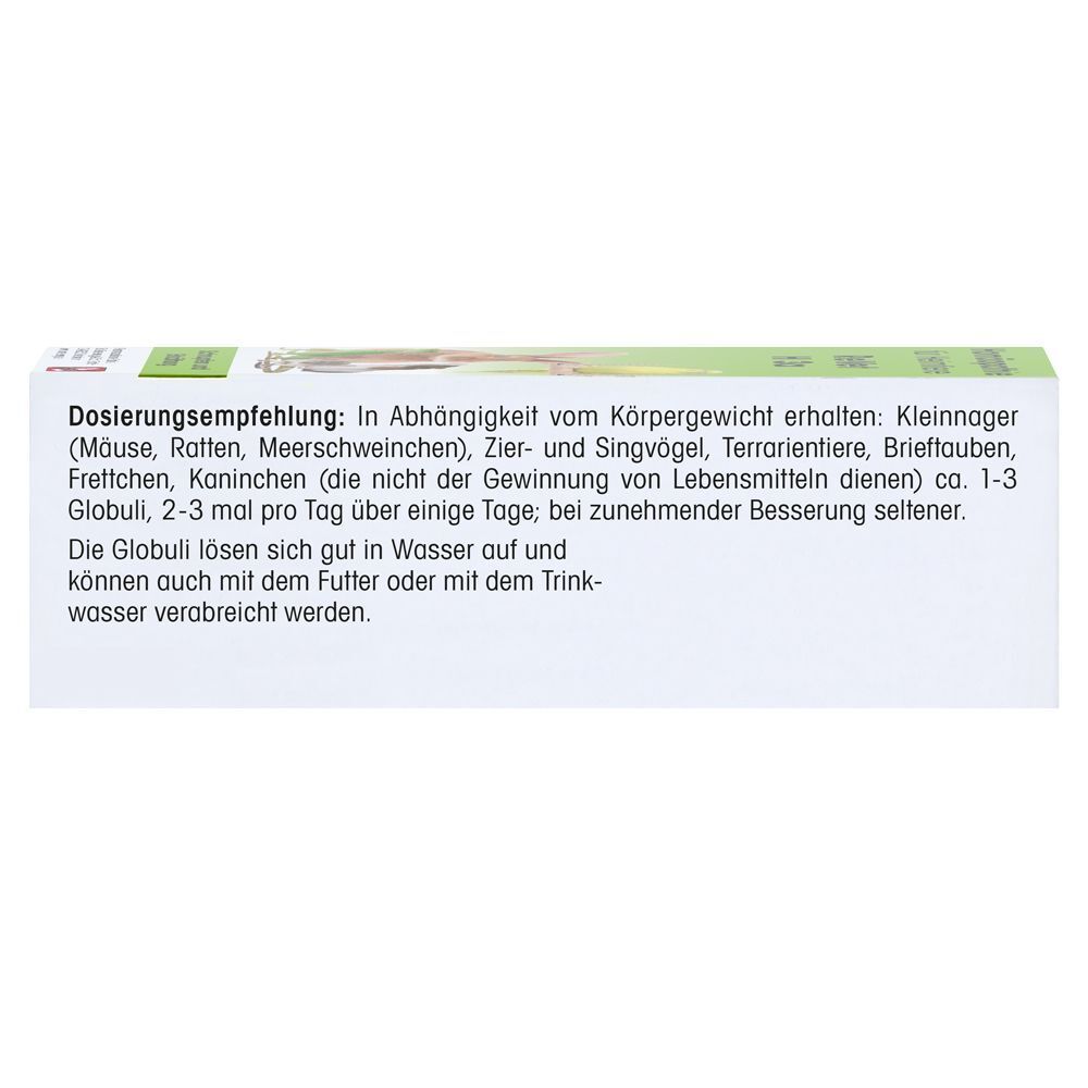 Seitenansicht einer ReVet H 11 Globuli Packung mit Dosierungsempfehlungen für Kleintiere.