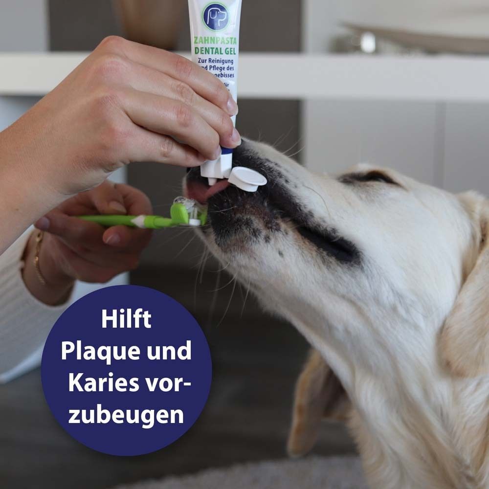 Person bürstet Zähne eines Hundes mit Zahnpasta Dental Gel. Aufschrift: Hilft Plaque und Karies vorzubeugen.