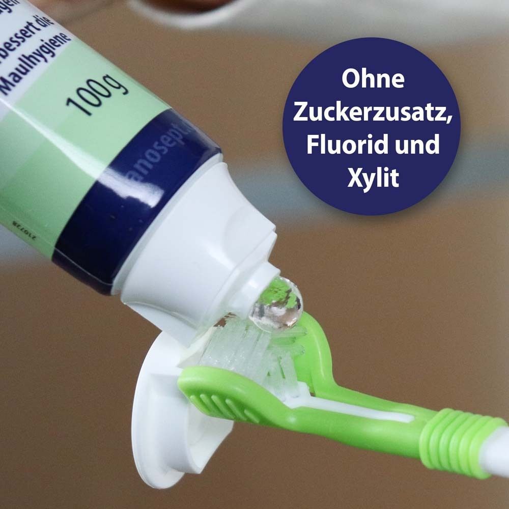 Zahnpasta Dental Gel wird auf eine grüne Zahnbürste gedrückt. Aufschrift: Ohne Zuckerzusatz, Fluorid und Xylit.