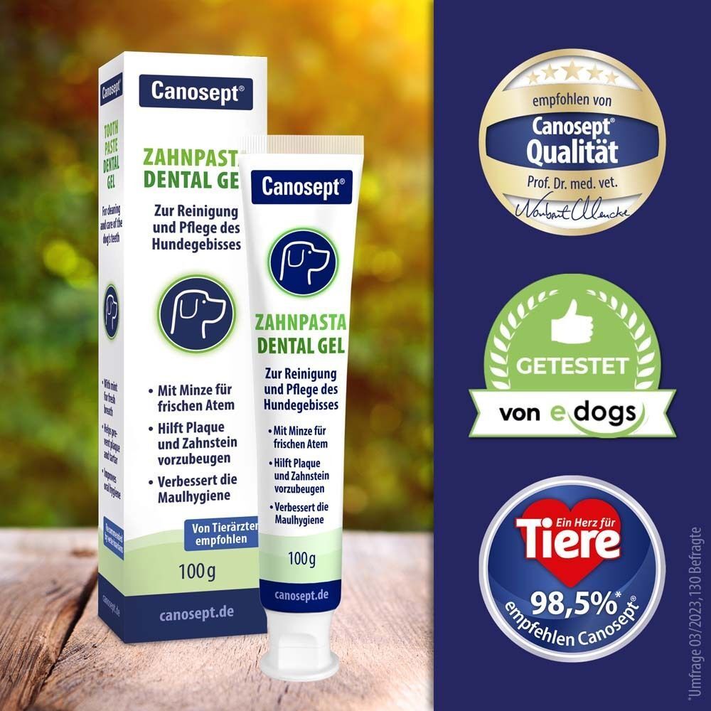 Zahnpasta Dental Gel mit Verpackung und Logos. Aufschrift: Zahnpasta Dental Gel, 100g. Zertifizierungen und Logos.