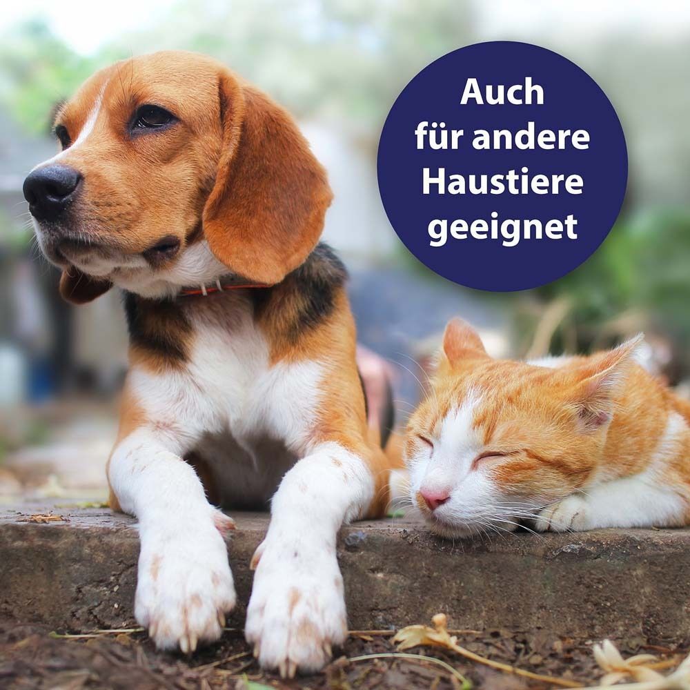 Hund und Katze sitzen zusammen. Text: Auch für andere Haustiere geeignet.