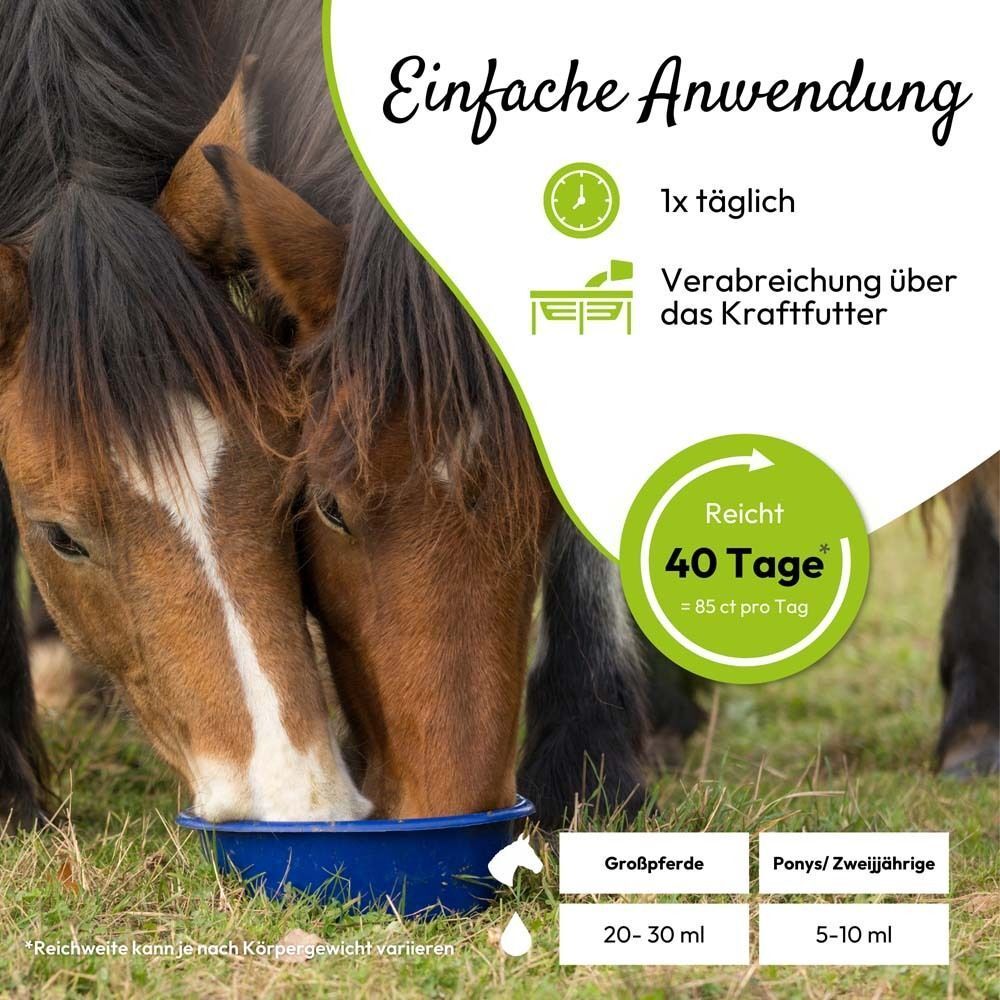 Pferde trinken aus einer blauen Schüssel. Text: Einfache Anwendung. Reichweite: 40 Tage. Dosierungsempfehlung.