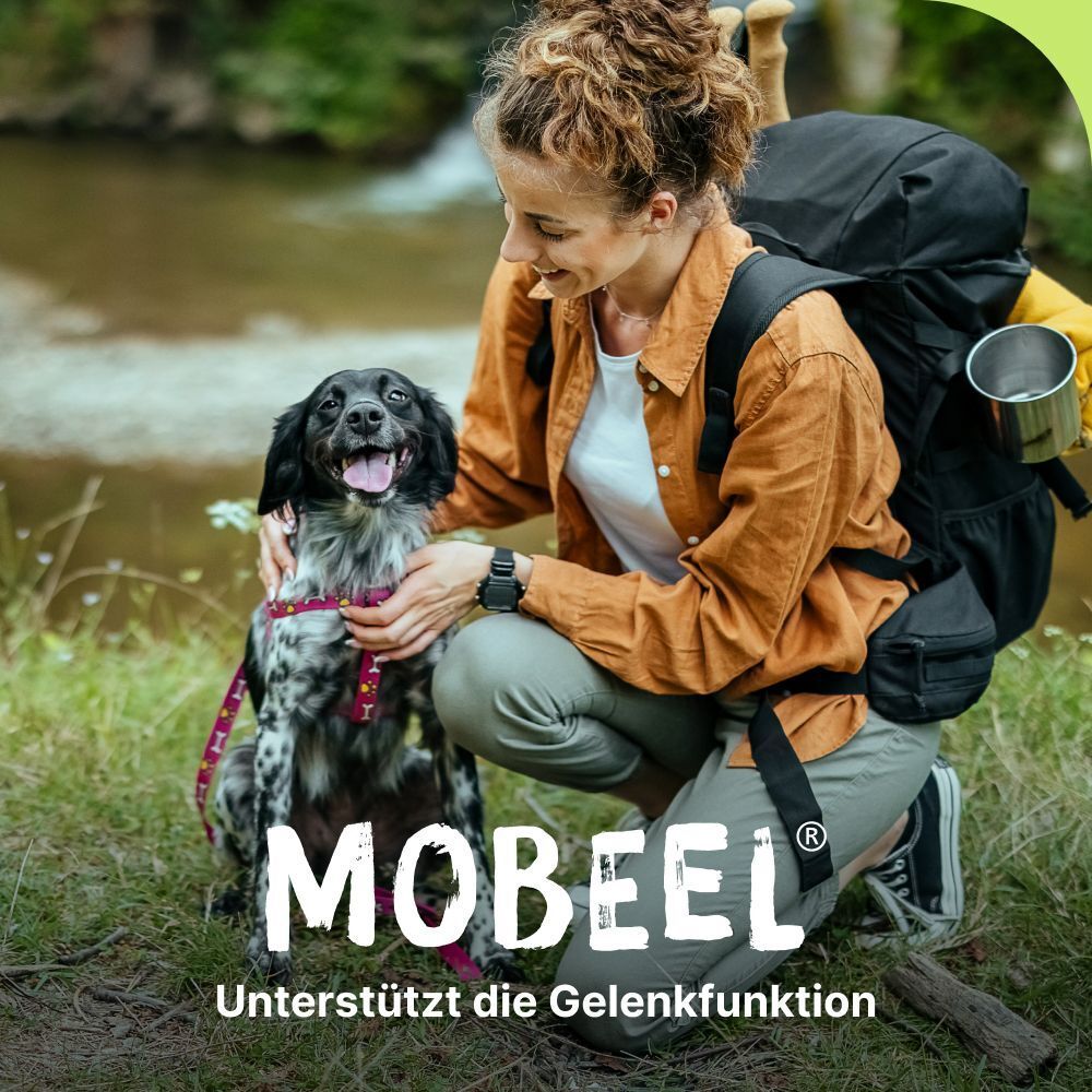 Eine Frau mit Hund im Freien. MOBEEL-Logo und Text: Unterstützt die Gelenkfunktion. Hund trägt Halsband.