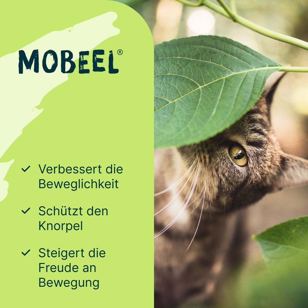 MOBEEL-Logo und Text: Verbessert die Beweglichkeit, schützt den Knorpel, steigert die Freude an Bewegung. Katze.