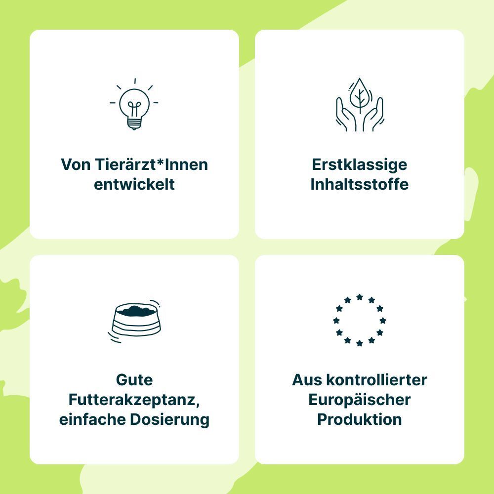 Vier Quadrate mit Text: Von Tierärzt*Innen entwickelt, erstklassige Inhaltsstoffe, gute Futterakzeptanz, europäische Produktion.