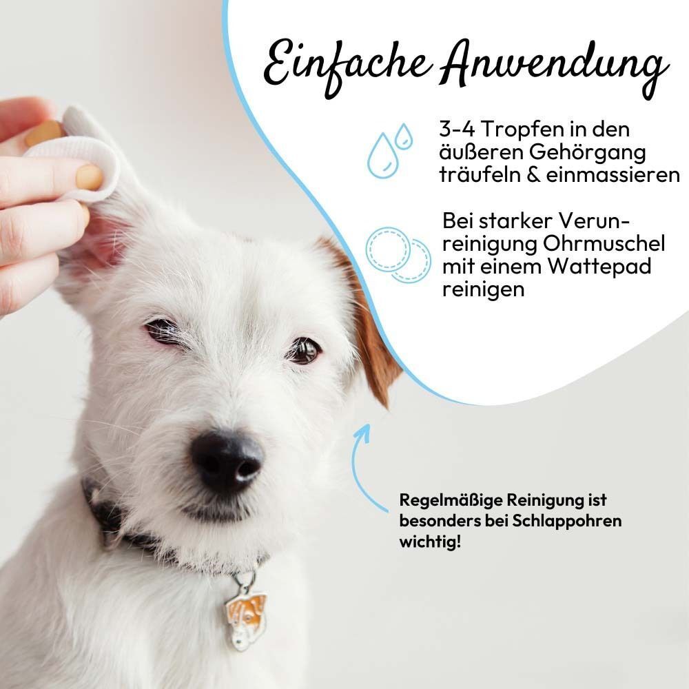 Infografik zur Anwendung. 3-4 Tropfen in den äußeren Gehörgang träufeln. Wattepad zur Reinigung.