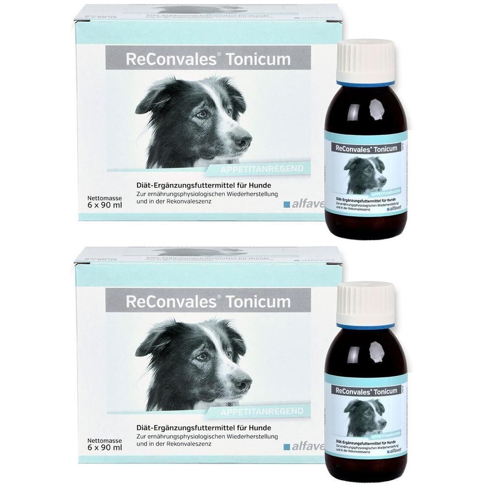 Reconvales Tonicum für Hunde 2x 2x6x90 ml Tonikum
