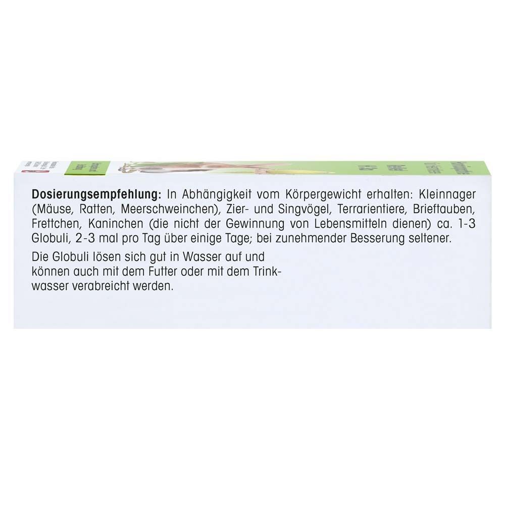 Seite der ReVet H 3a Globuli Verpackung mit Dosierungsempfehlungen für verschiedene Kleintiere.