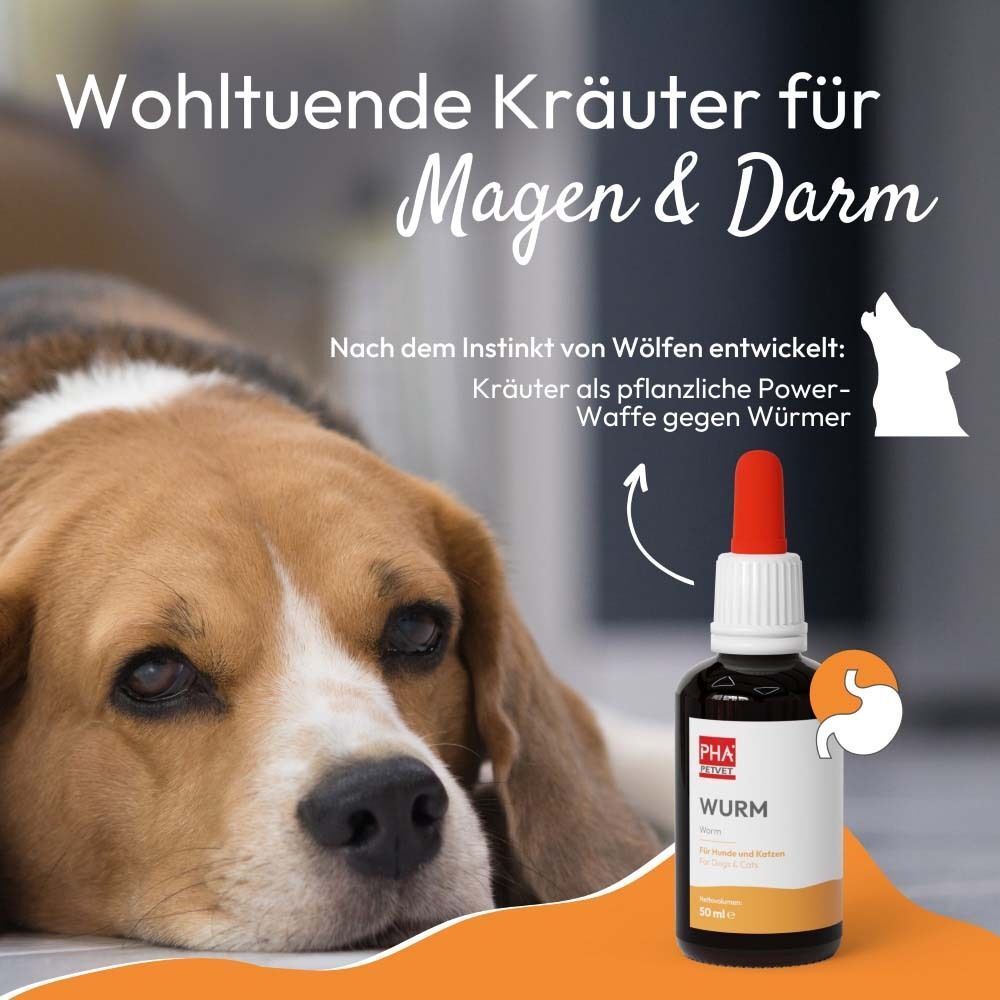Produktflasche mit Hund und Text. Logo und Produktname sind sichtbar. Flasche mit roter Pipette.
