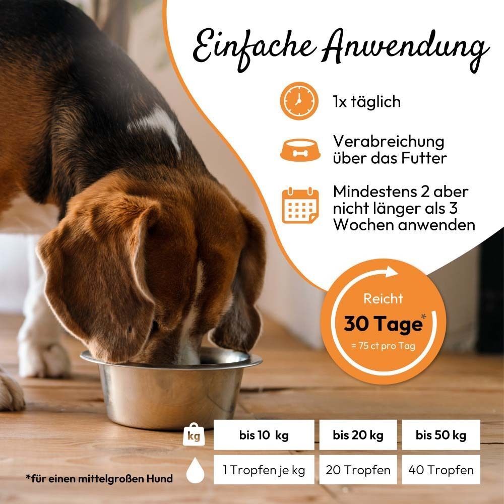 Anwendungshinweise. Hund isst aus Napf. Text und Illustrationen. Logo und Produktname sind sichtbar.
